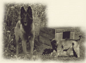 JostaThemenbild-_Home