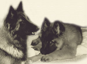 JostaThemenbild-_Time_goes